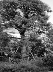 兴化注册公司